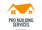 cropped-Pro-Building-Services-1.png